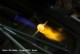 Thumbs/tn_IMG_8636.jpg